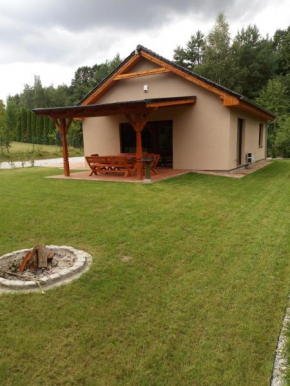 Urokliwy domek nad Jeziorem 2, Dabrowno